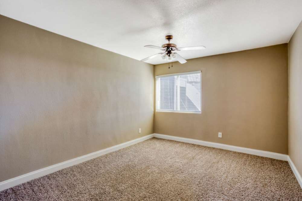 Carpeted living room at Hubbards Ridge in Garland, Texas