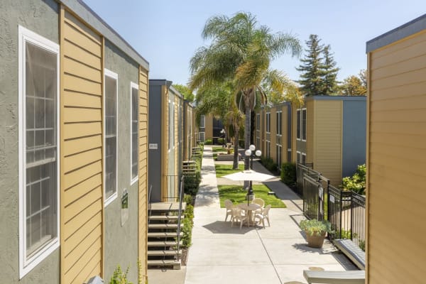 Courtyard at Adelaide Pines in Concord, California