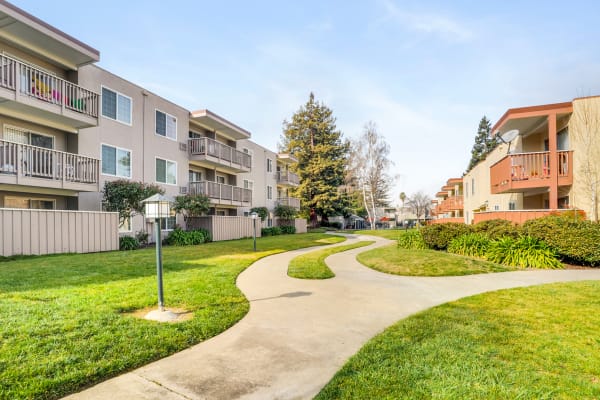 Walking path through the community at Sycamore Commons Apartments in Fremont, California