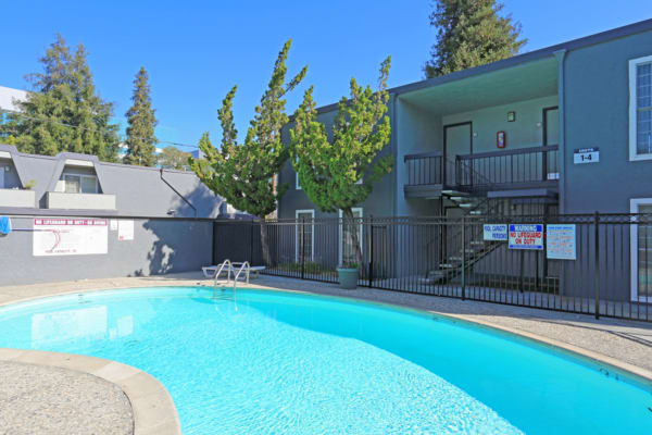 Inviting outdoor swimming pool at Sequoyah Apartments in Concord, California