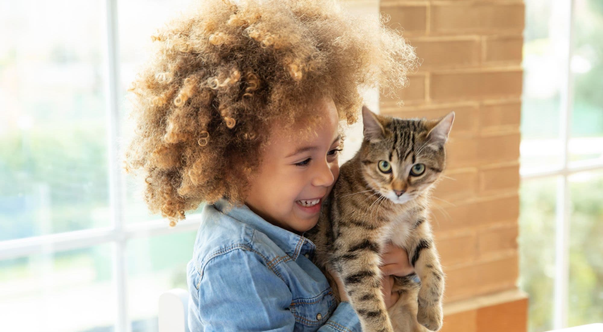 Pet Friendly | Tuscany Park in San Antonio, Texas