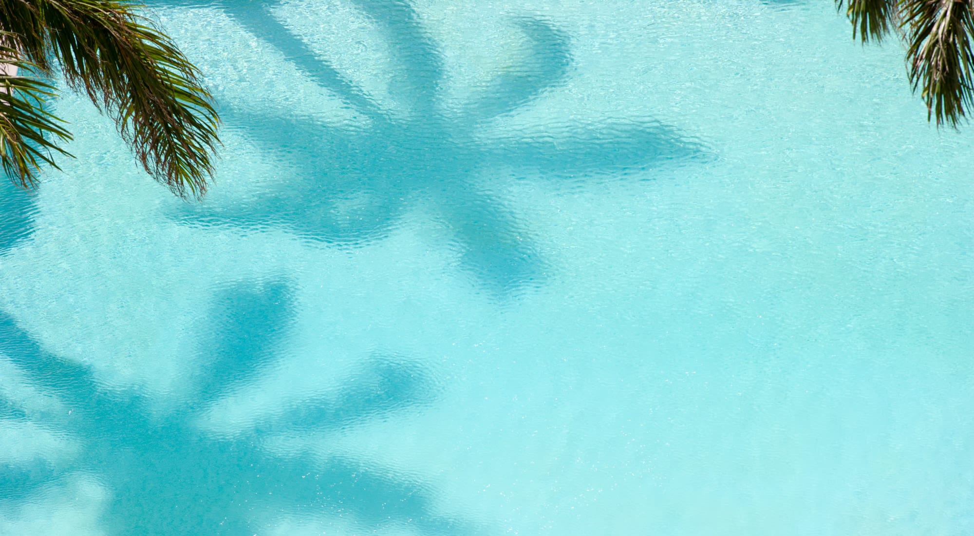 Reviews of San Marco Apartments in Ormond Beach, Florida