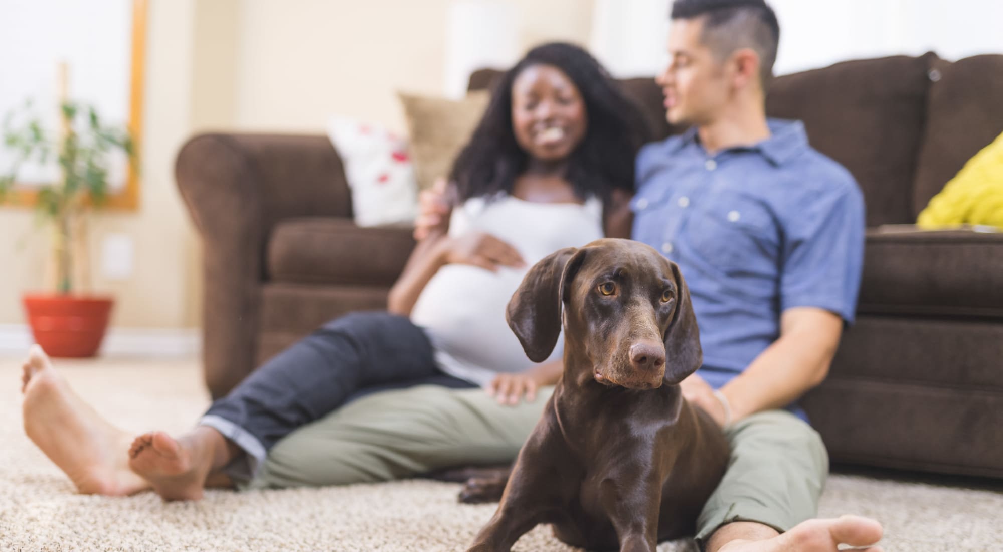 Happy family with their dog in a living room at The Chateau Apartments in Mountain View, California