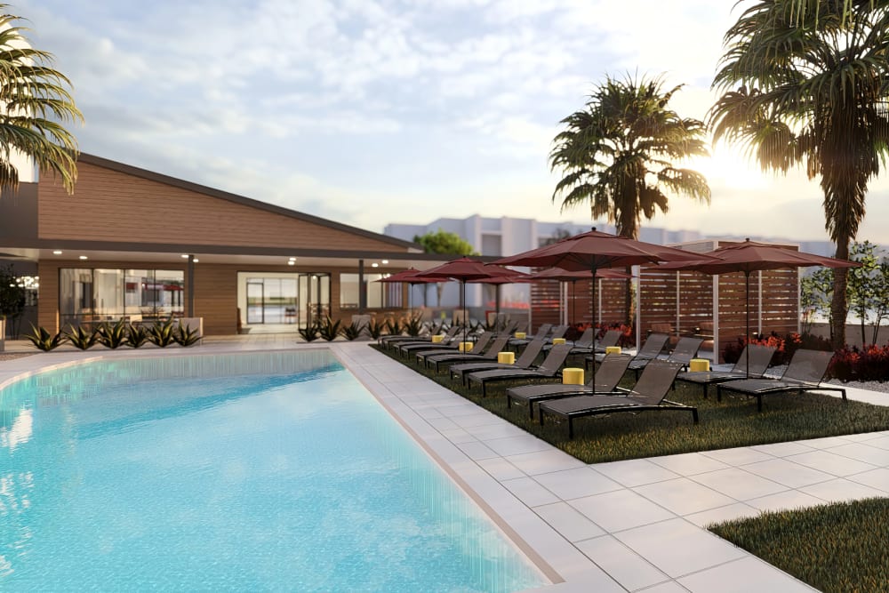 2 Resort-Inspired Swimming Pools at Alexan Tempe in Tempe, Arizona