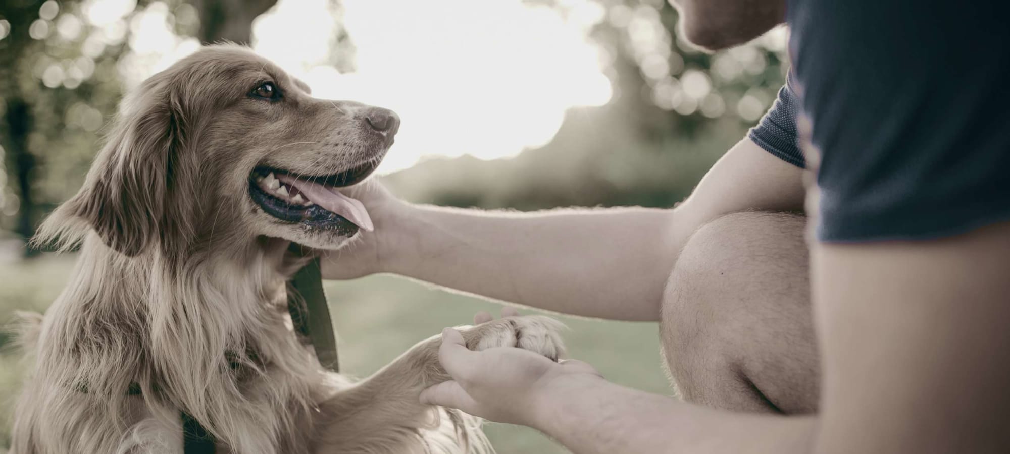 Pet Friendly at Indigo Stuart in Stuart, Florida