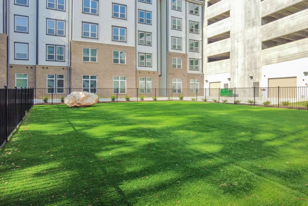 Dog park at District at 54 in Raleigh,North Carolina
