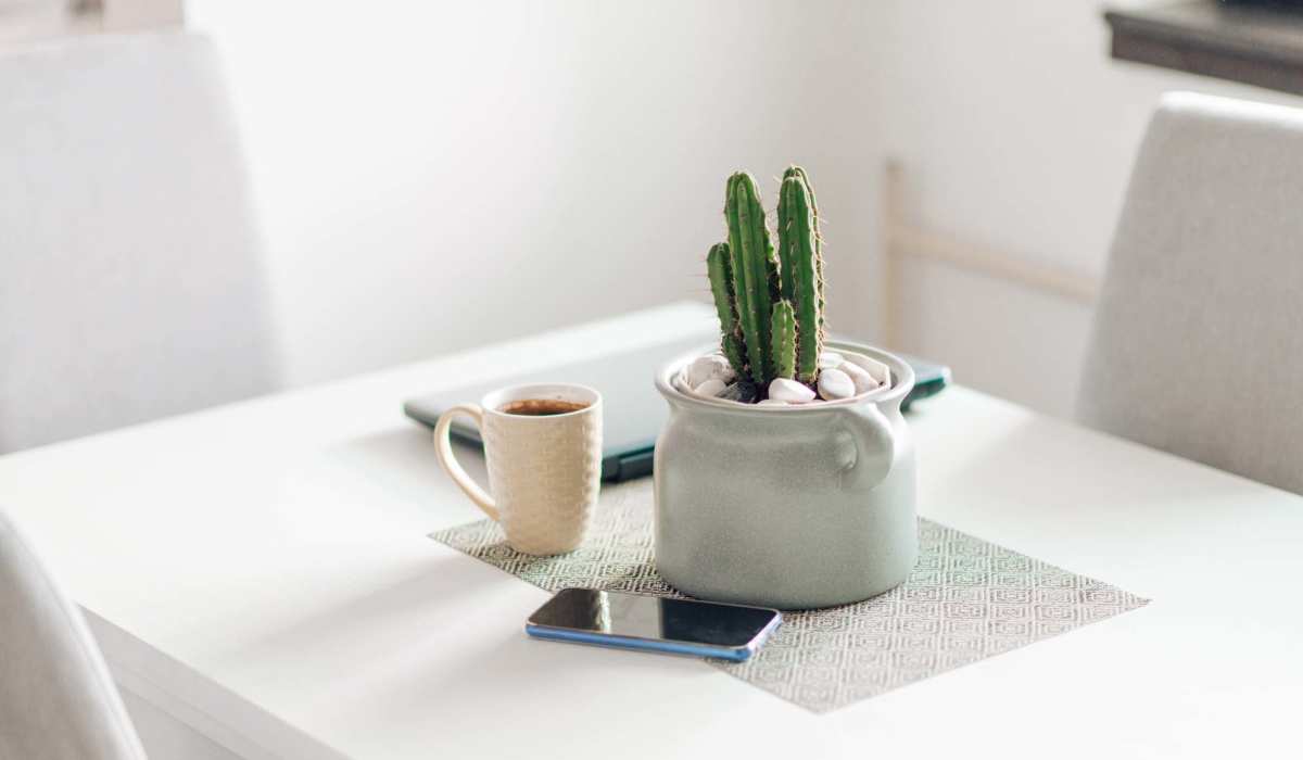 Table with plant and laptop at Somerset Court in Baltimore, Maryland