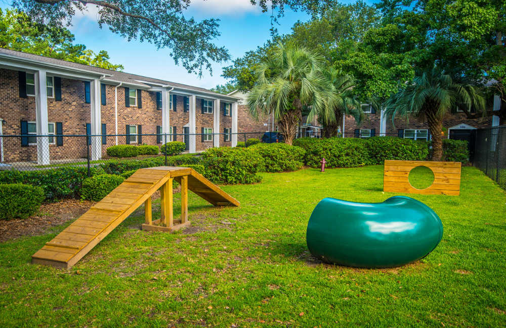Playful pet area with wooden ramp and colorful seating at Avian Place Apartments in North Charleston, South Carolina