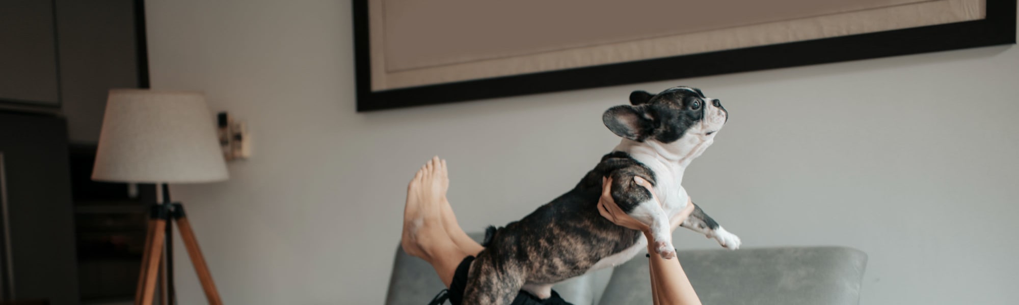 Pet-friendly apartments at 210 Main in Hackensack, New Jersey