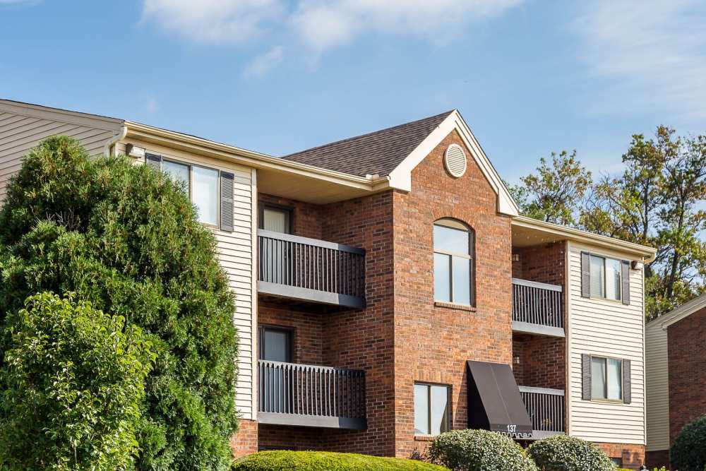 Apartments at Colt's Crossing Apartments in Georgetown, Kentucky