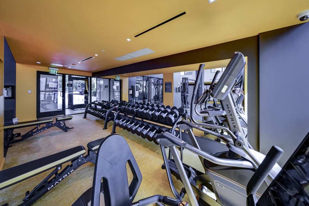 Fitness center with a row of dumbbells and various exercise machines at EON Squared in Fort Lauderdale, Florida