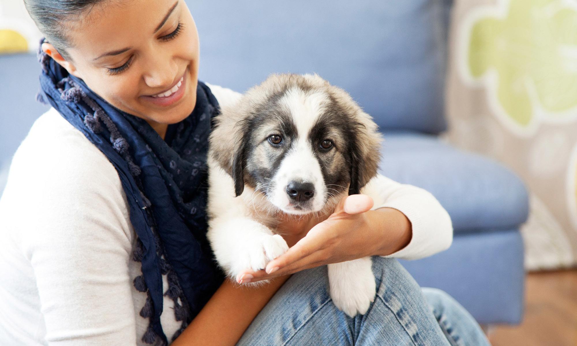 Animal hospital in Vacaville, CA