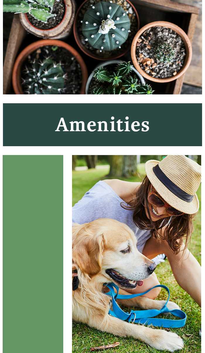 North Grand Prairie, TX Apartments for Rent The Belmont