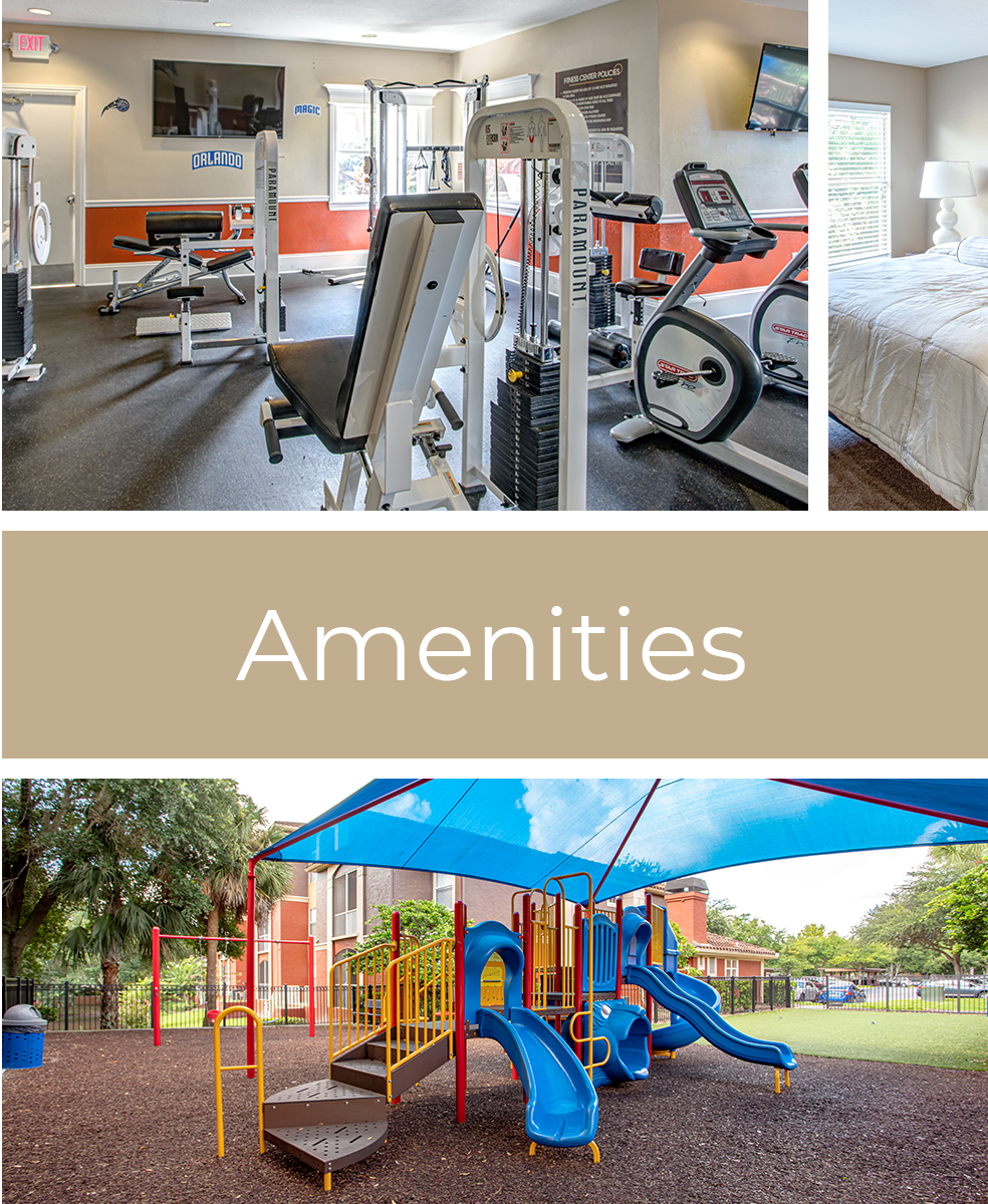 Orlando, FL Apartments for Rent Amara at MetroWest