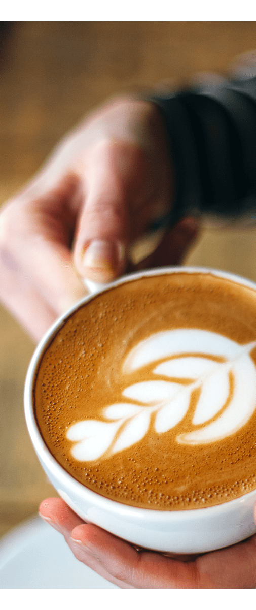 Beautiful latte design at a cafe near The Wayland in St Petersburg, Florida