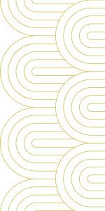 Divider Image