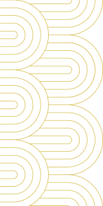Divider Image