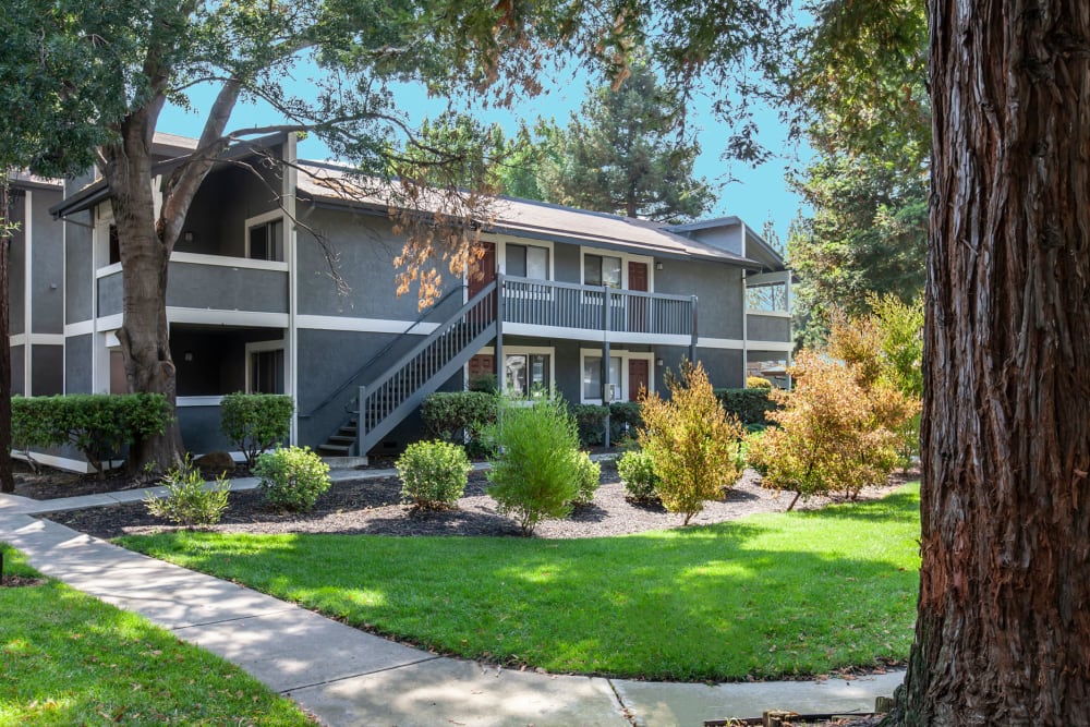The beautiful grounds at Avery Park Apartments in Fairfield, California