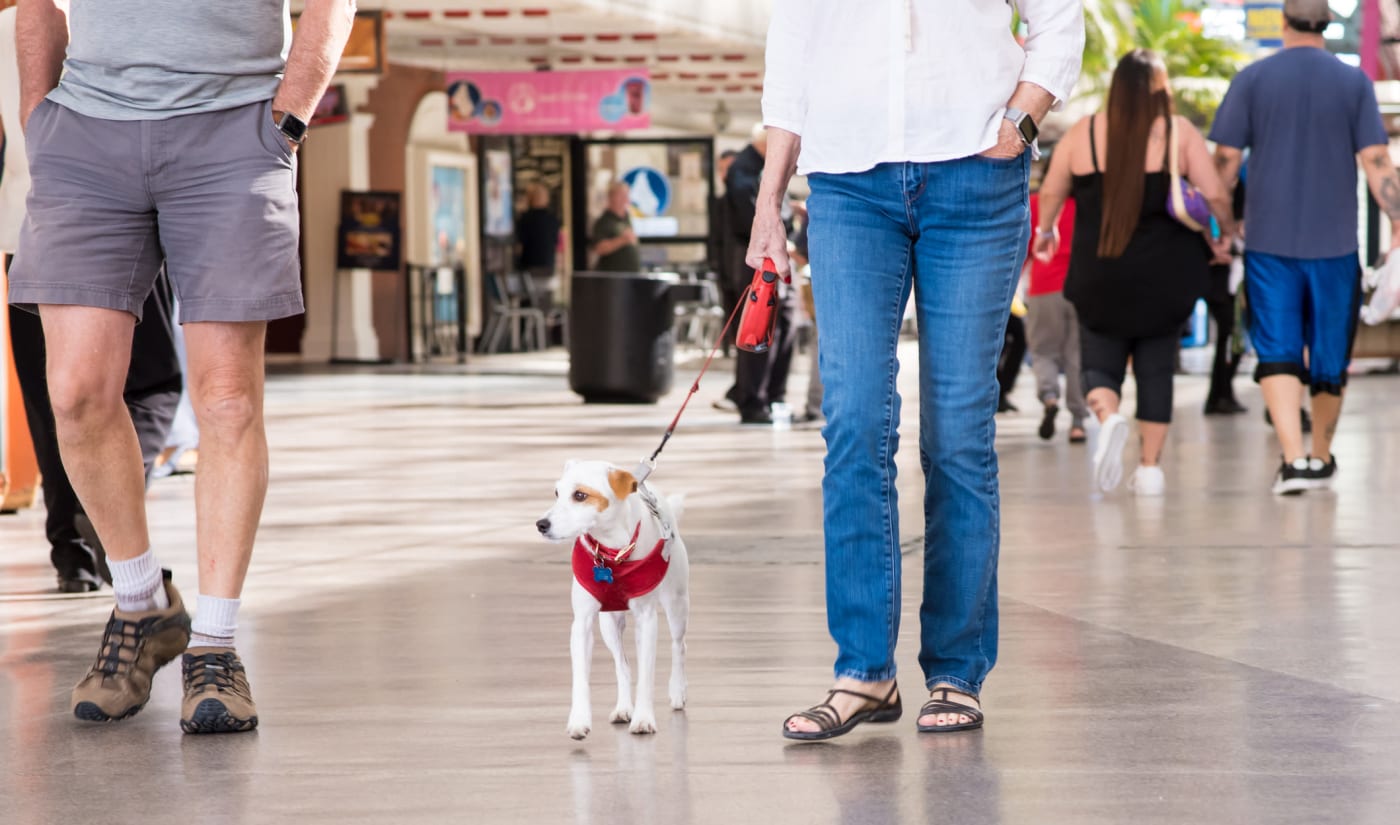 Residents taking a walk with their dog near City Center Apartments in Reno, Nevada