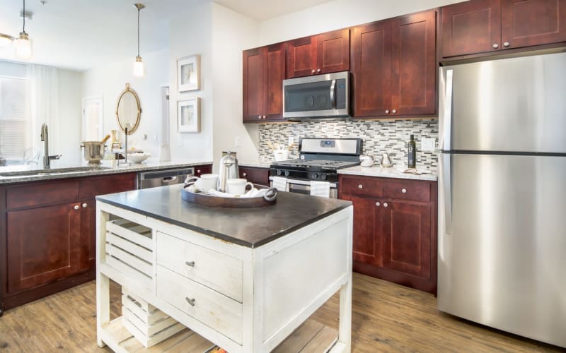 Bright kitchen with stainless steel appliances at The Royal Belmont in Belmont, Massachusetts