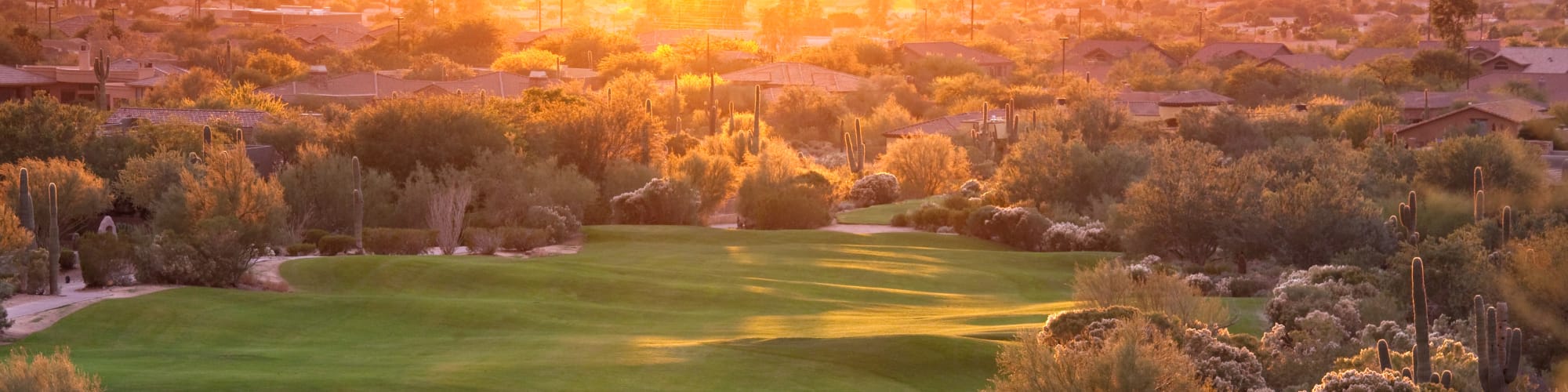 Neighborhood near San Sonoma in Tempe, Arizona