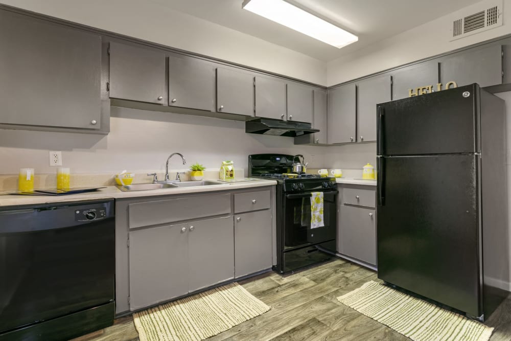 Kitchen in a model home at ibex Park in Smyrna, Georgia