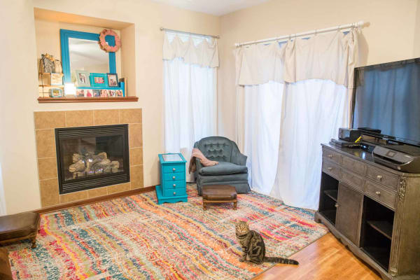 Living room with a cat by the fireplace at Providence Pointe in Johnston, Iowa