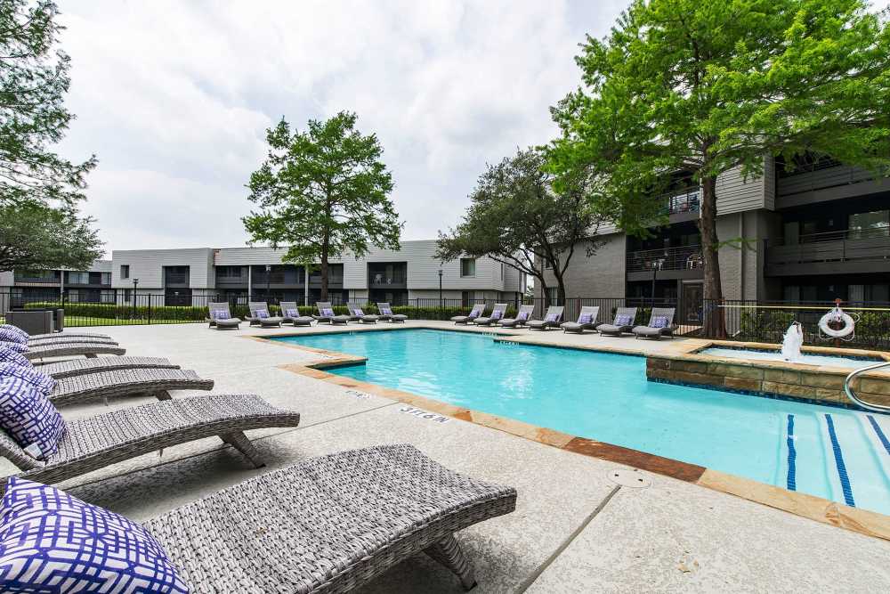 Swimming pool with lounge seating at Halston in Dallas, Texas