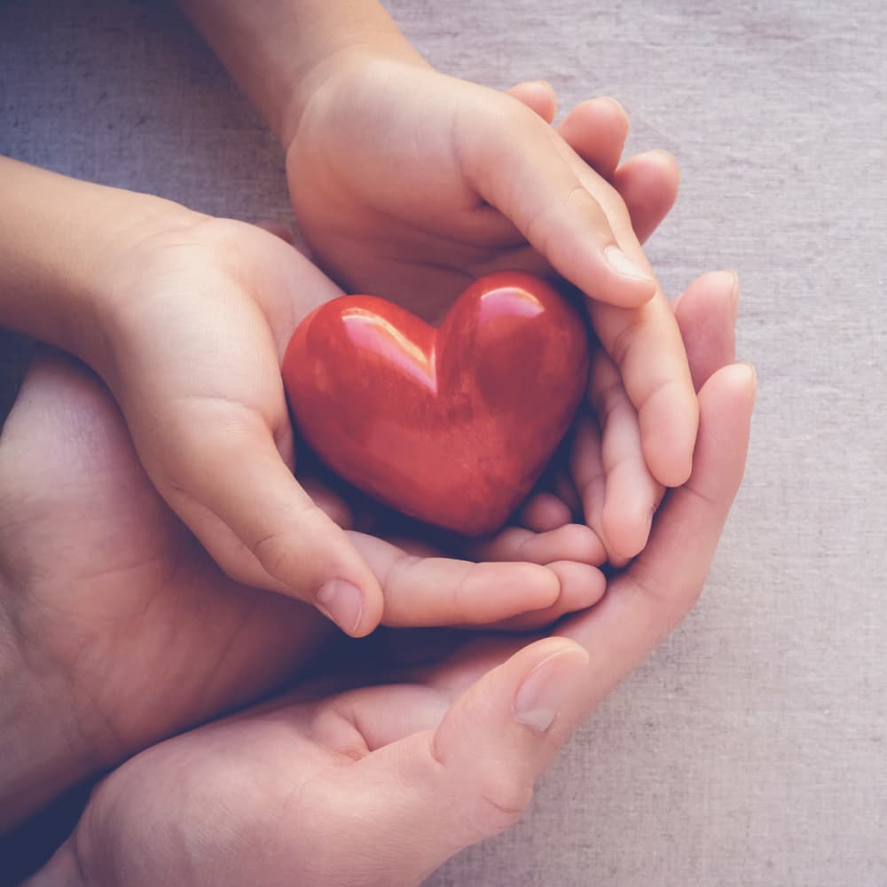 Hands together holding a heart-shaped object at Singh Development Company