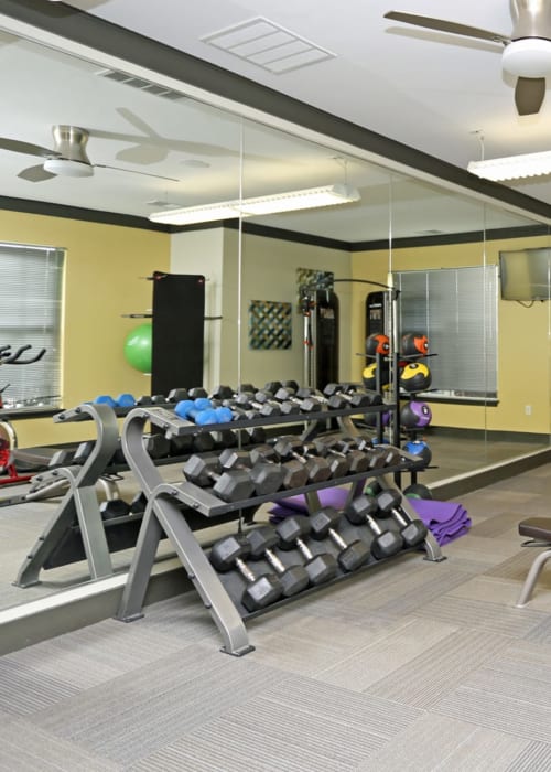 Modern fitness center at Reserve at Wauwatosa Village in Wauwatosa, Wisconsin