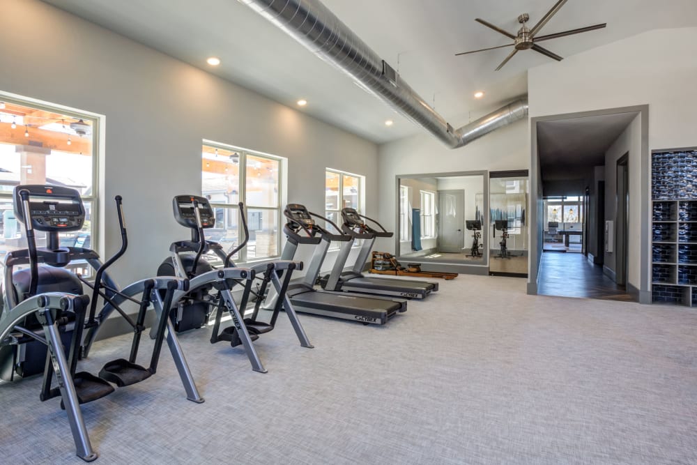 Enjoy Apartments with a Gym at Senita on Cave Creek in Phoenix, Arizona