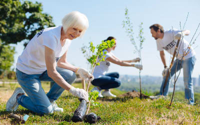 Engage and contribute at Maplewood at Mayflower Place West Yarmouth