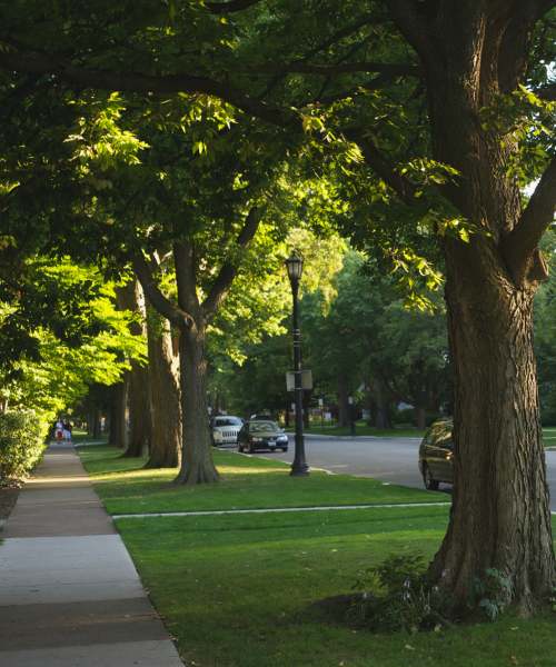 Tree-lined sidewalk with street lamps near Leewood Place in Fremont, Ohio