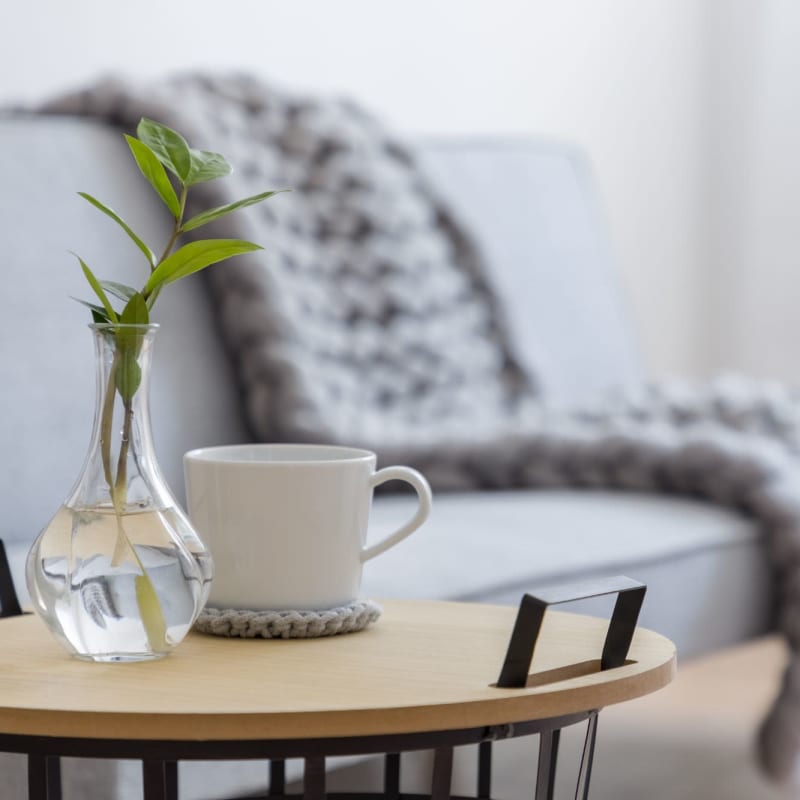 Sofa table with vase and plant at Oceana Apartments in Huntington Beach, California