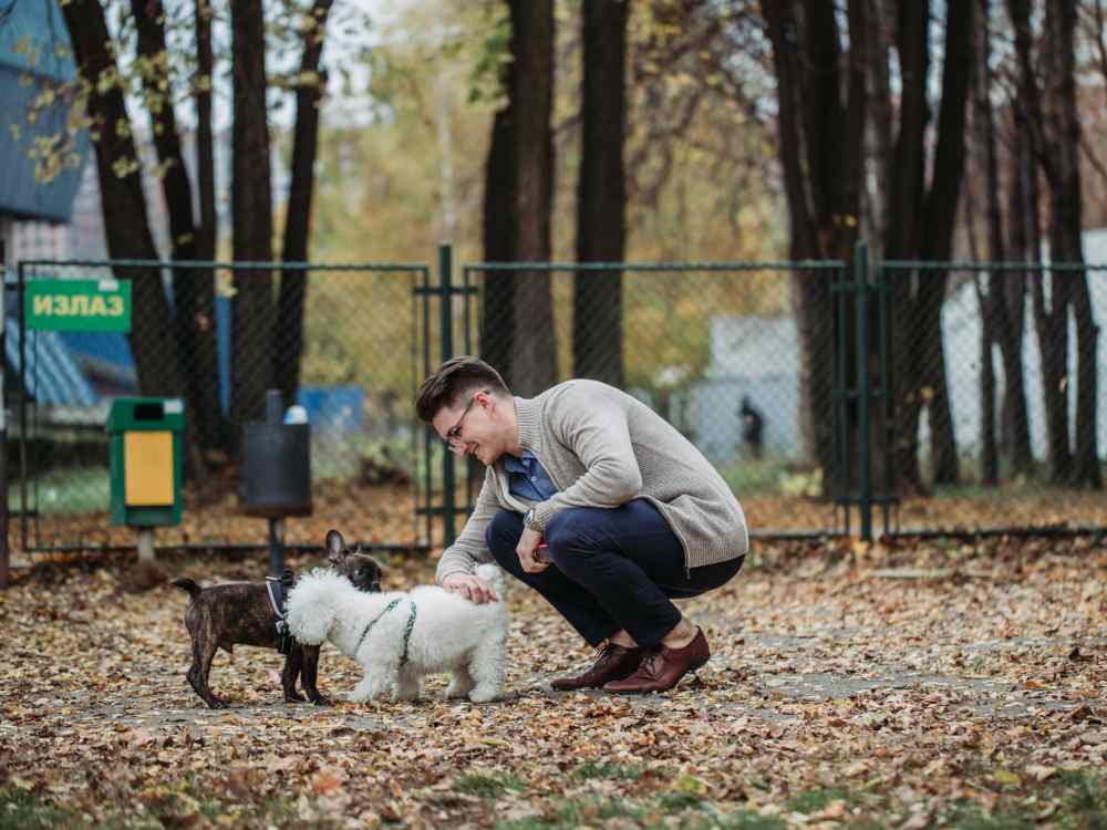 Man crouching in a pet-friendly area, interacting with two small dogs among fallen leaves at Amberton Luxury Townhomes in Naples, Florida