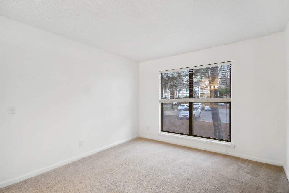 Modern bedroom with carpet flooring and large window at Stillwater in Charlotte, North Carolina