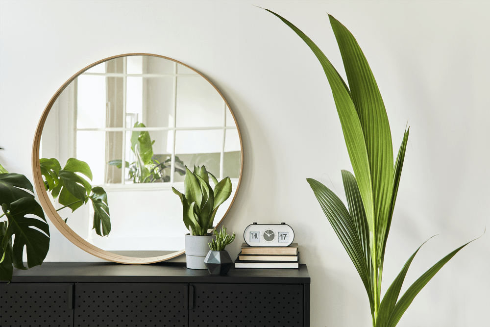 Mirror and plants at The Gardens on Stadium in Phenix City, Alabama