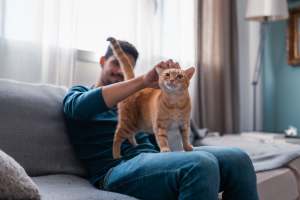 Happy cat getting pets at Boomer Creek Apartments in Stillwater, Oklahoma