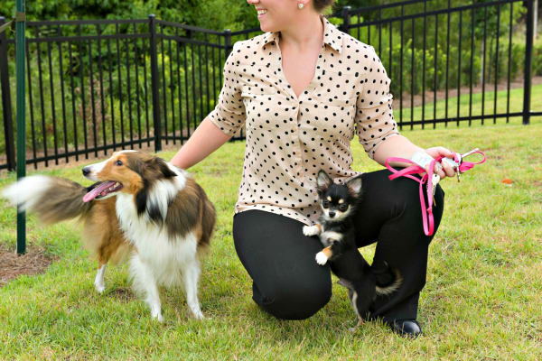 Woman with two dogs at The Addison in Baton Rouge, Louisiana