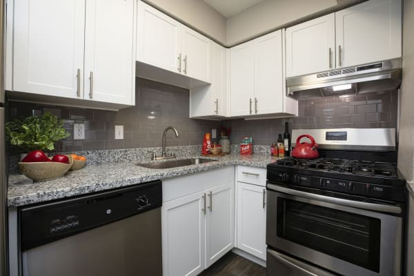 Modern and bright fully equipped kitchen at The Clara in San Antonio, Texas