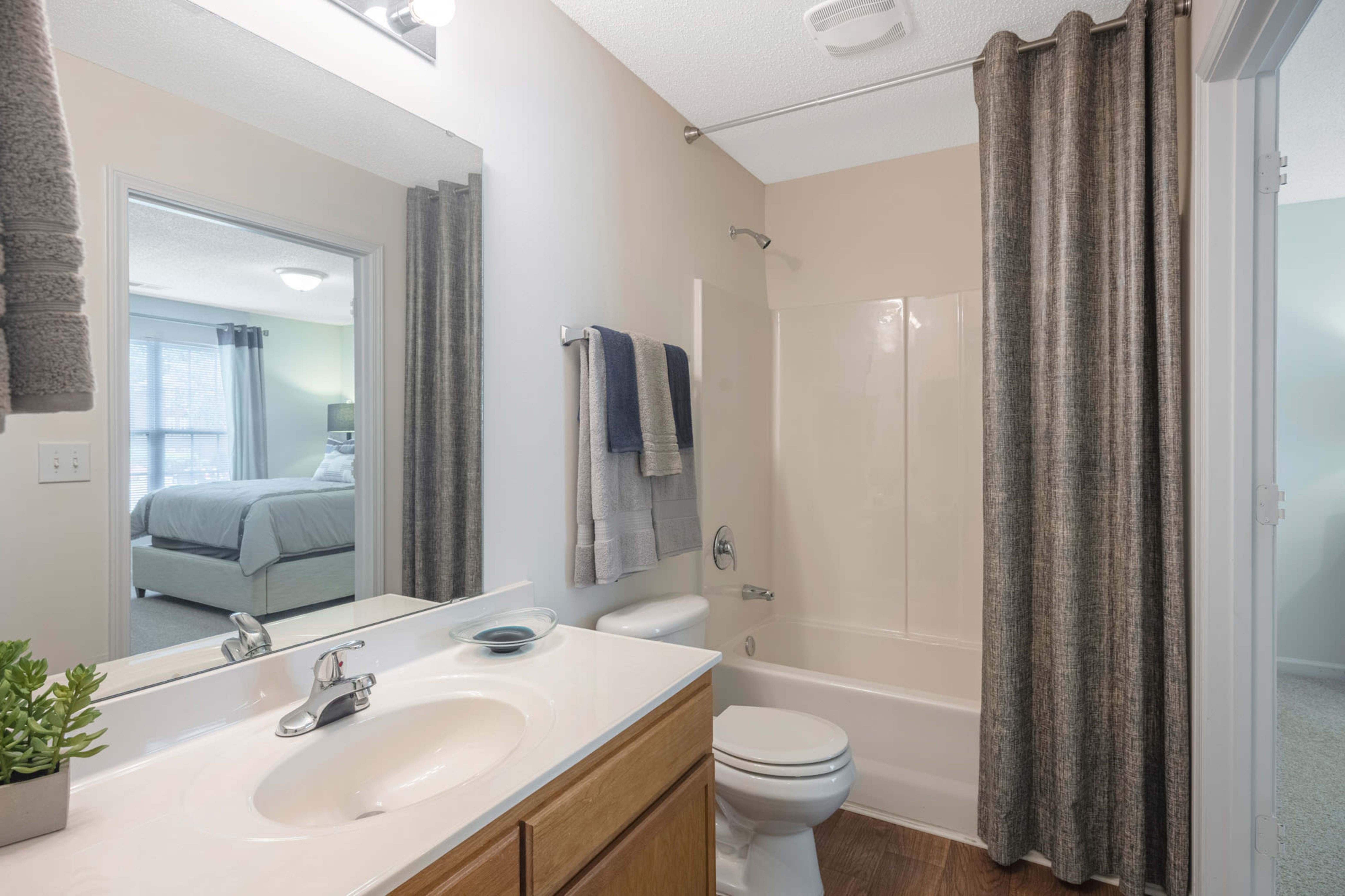 Modern sink and bath at Laurel Springs in High Point, North Carolina