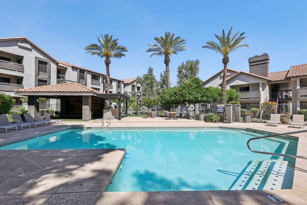 Swimming pool surrounded with palm tree at Strada in Tempe, Arizona 