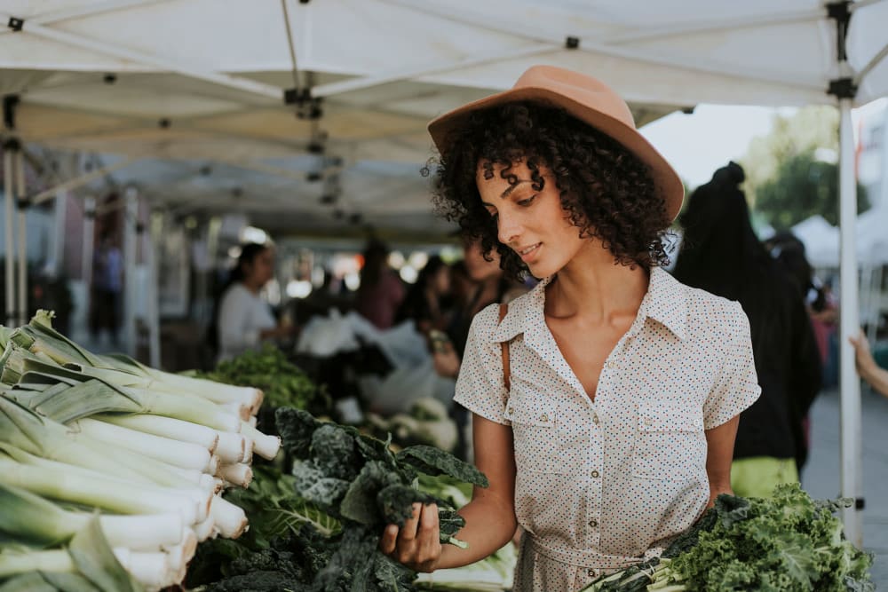 Resident shopping and farmers market near Greymont Village in Asheville, North Carolina