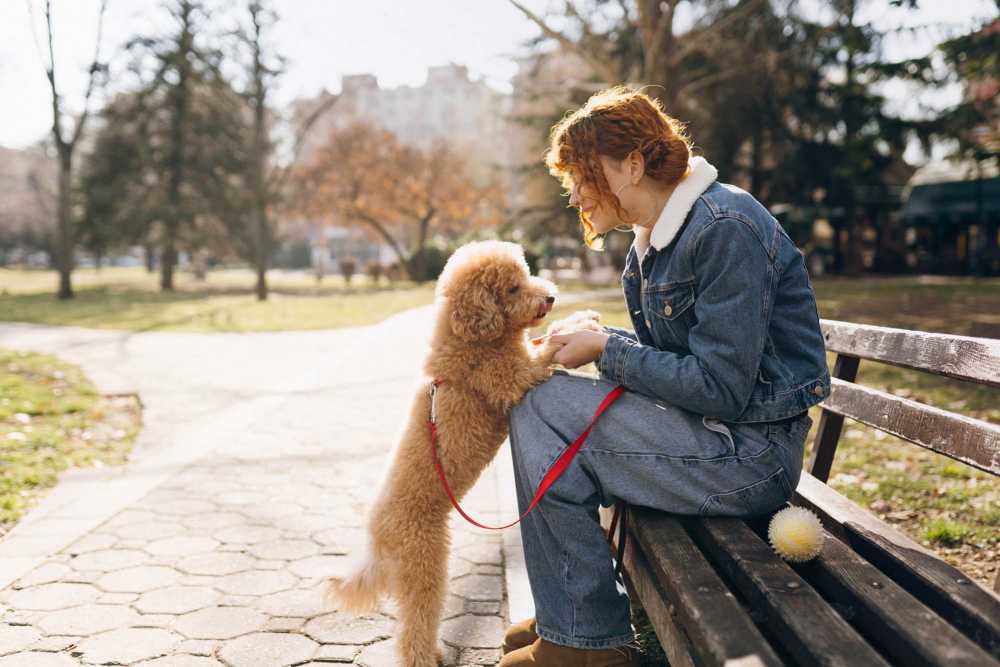 Resident playing with her pet near Brookside Commons in Meadville, Pennsylvania