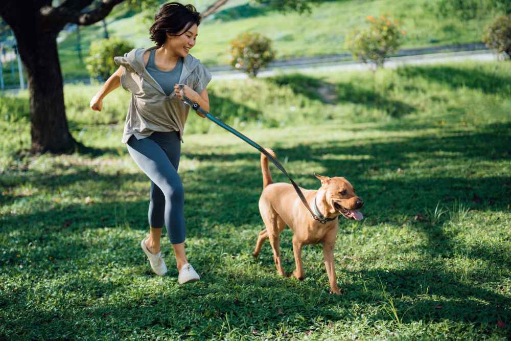Large Pet Park at Country Lane in Angleton, Texas