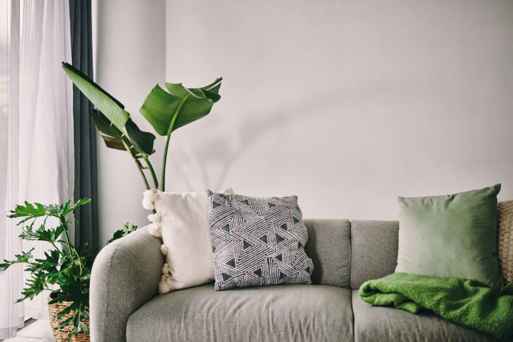 A comfy sofa at THE RESIDENCES AT LANDON RIDGE, San Antonio, Texas