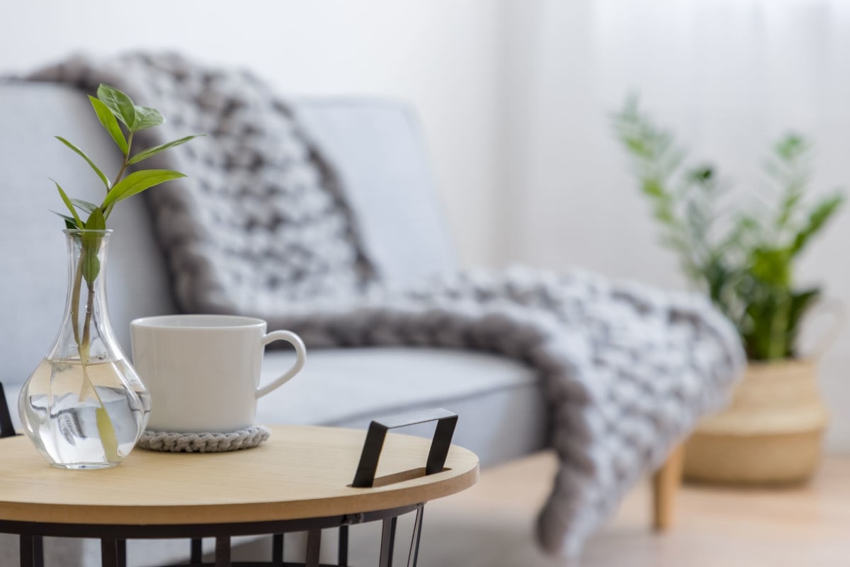 Comfy sofa in an apartment at Playa Marina, Los Angeles, California