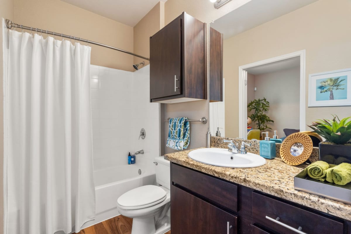 Bathroom at The Linq, Chandler, Arizona