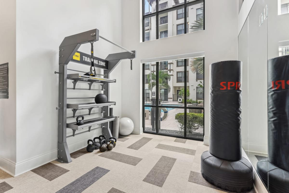 Fitness center with workout machines at Lantower Westshore in Tampa, Florida