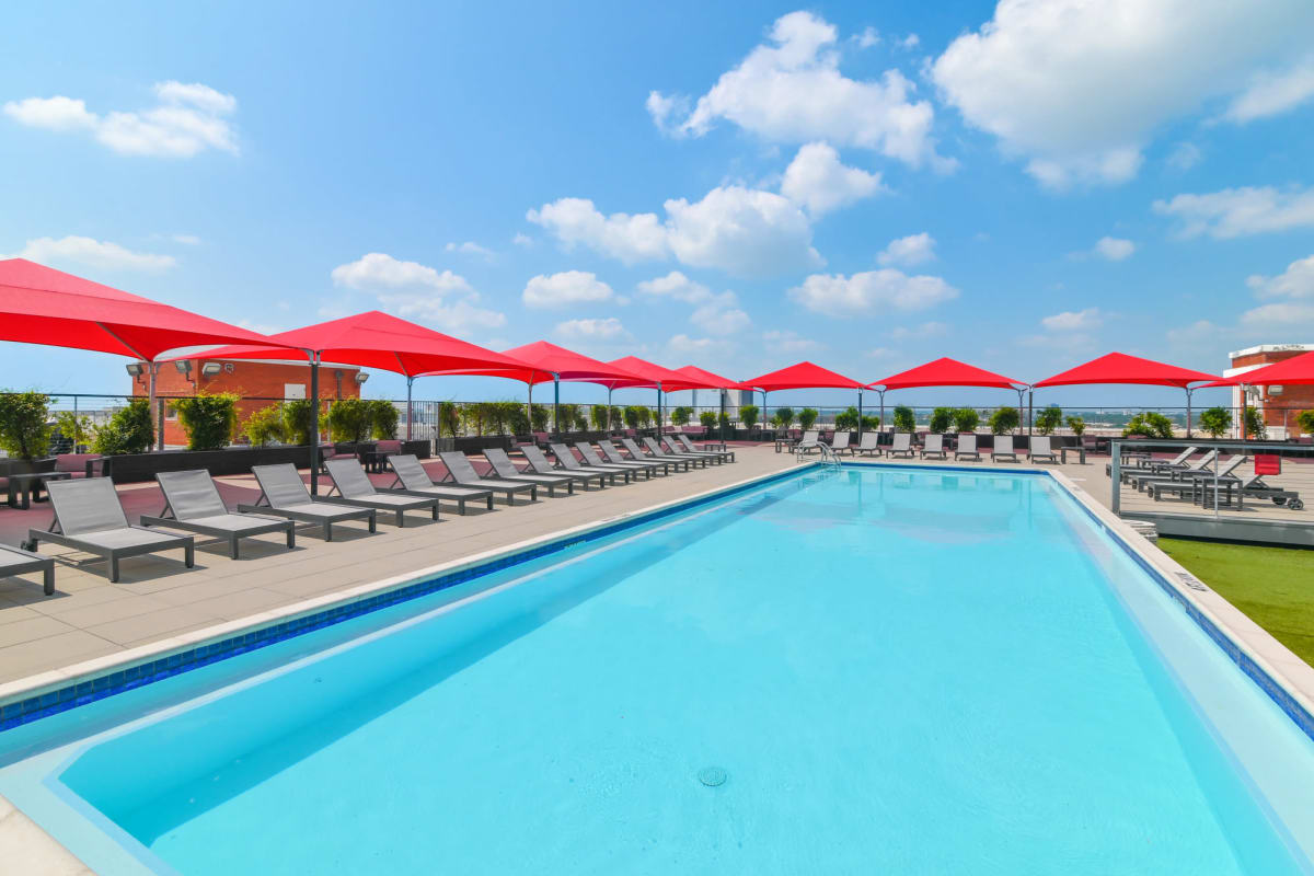 Rendering of luxury pool at South Side on Lamar in Dallas, Texas